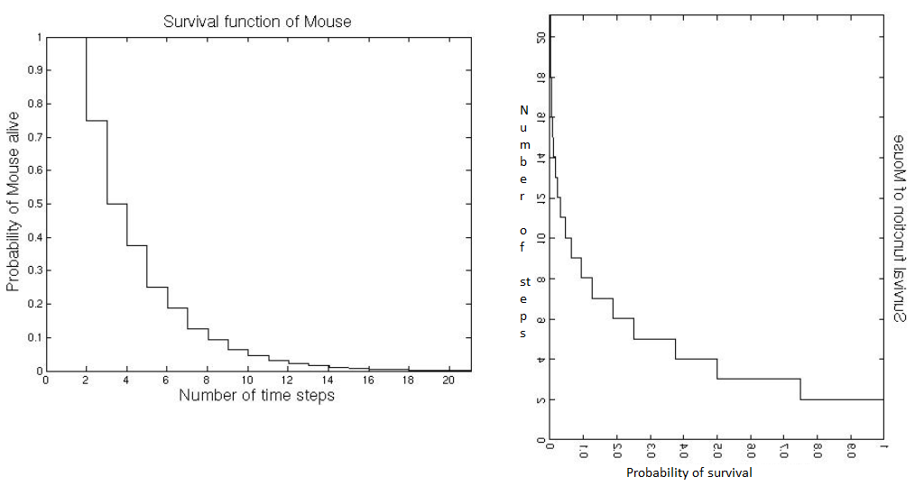 Cat Mouse Example Survival Function